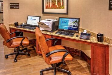 ホテル Hampton Inn & Suites Pigeon Forge On The Parkway