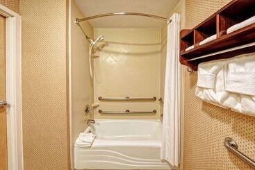 ホテル Hampton Inn & Suites Pigeon Forge On The Parkway