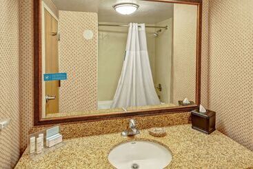 ホテル Hampton Inn & Suites Pigeon Forge On The Parkway