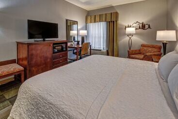 ホテル Hampton Inn & Suites Pigeon Forge On The Parkway