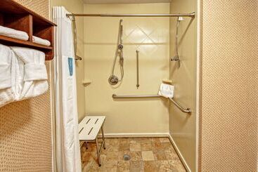 ホテル Hampton Inn & Suites Pigeon Forge On The Parkway