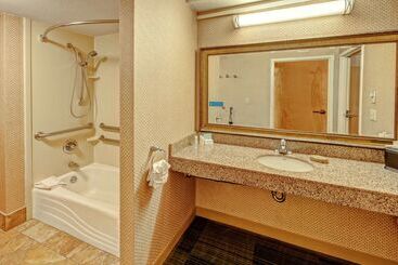 ホテル Hampton Inn & Suites Pigeon Forge On The Parkway