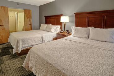 ホテル Hampton Inn & Suites Pigeon Forge On The Parkway