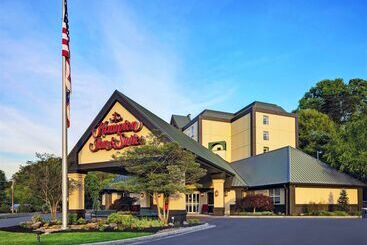 ホテル Hampton Inn & Suites Pigeon Forge On The Parkway