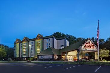ホテル Hampton Inn & Suites Pigeon Forge On The Parkway