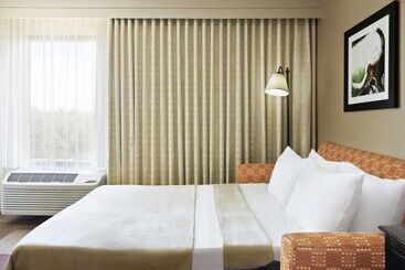 هتل Hampton Inn Dallasirvinglas Colinas