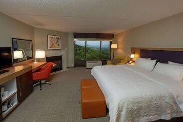 ホテル Hampton Inn Hazleton