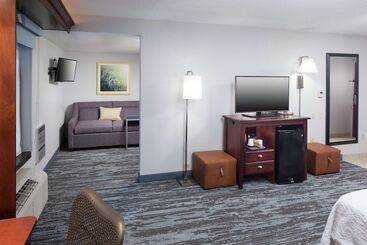 هتل Hampton Inn Kansas Cityliberty