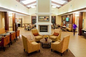 هتل Hampton Inn & Suites Tampanorth