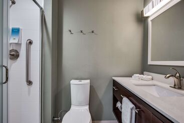 هتل Home2 Suites By Hilton Dfw Airport South/irving, Tx