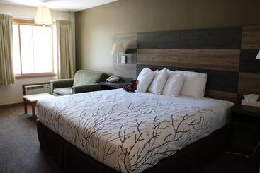 ホテル Roosevelt Inn Mount Rushmore