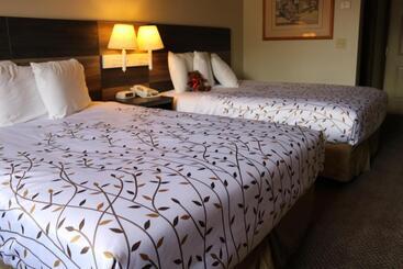 ホテル Roosevelt Inn Mount Rushmore