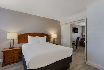 Surestay Plus Hotel By Best Western Tempe University