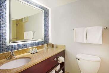 Wyndham Lake Buena Vista Resort Disney Springs® Resort Area