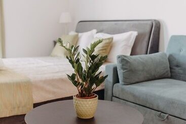 Best House, Nirvana Ii, Patra