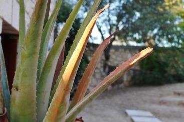 Pyrgos Ralli Estate Apartments And Suites