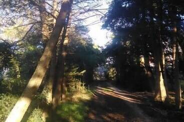 Nature Houses