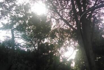 Nature Houses