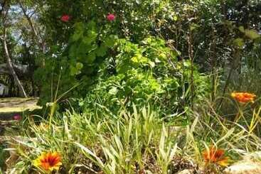 Nature Houses