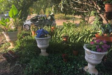 Nature Houses