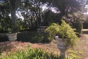 Nature Houses