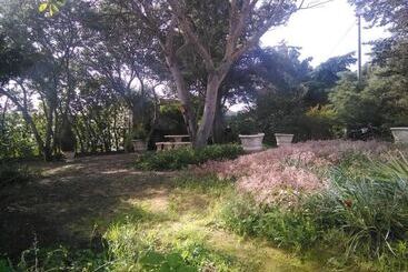 Nature Houses