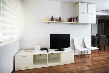 Apartment Roko