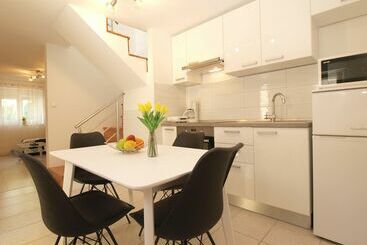 House 1559