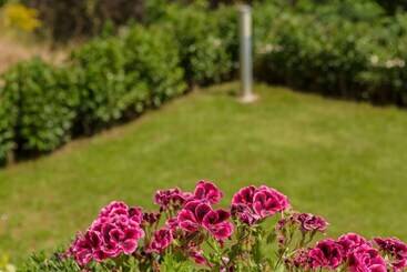 Bright & Spacious Two Floor Family Garden Home