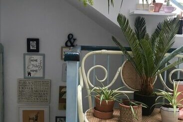 El Patio Del Limonero