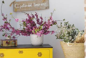 El Patio Del Limonero