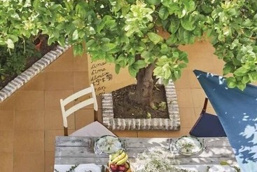 El Patio Del Limonero