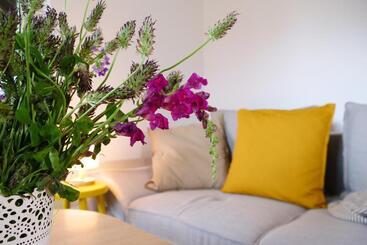 پانسیون Apartment And Rooms Vilma