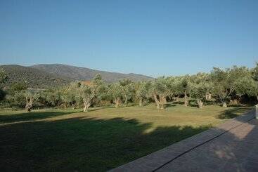 پانسیون Gera S Olive Grove