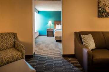 酒店 Best Western Plus Yadkin Valley Inn & Suites