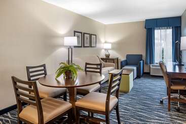 هتل Comfort Inn & Suites Newark  Wilmington