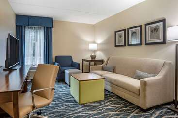 هتل Comfort Inn & Suites Newark  Wilmington