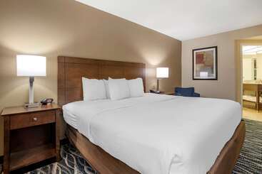 هتل Comfort Inn & Suites Newark  Wilmington