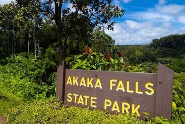 Grand Naniloa Hotel Hilo   A Doubletree By Hilton