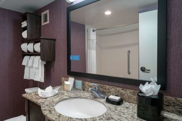 هتل Hampton Inn By Hilton Hopewell Fort Gregg Adams