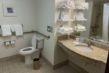 هتل Wingate By Wyndham St Louis Airport