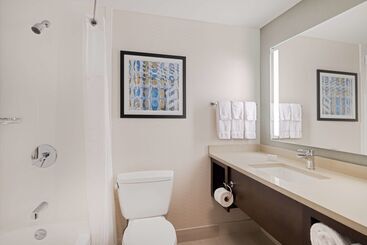 酒店 Hilton Garden Inn Chicago Downtown/magnificent Mile