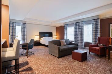 酒店 Hilton Garden Inn Chicago Downtown/magnificent Mile