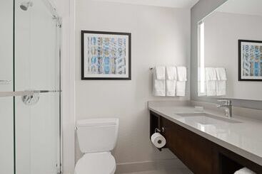 酒店 Hilton Garden Inn Chicago Downtown/magnificent Mile