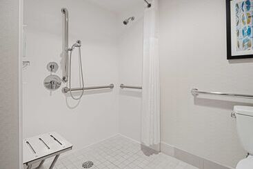 酒店 Hilton Garden Inn Chicago Downtown/magnificent Mile