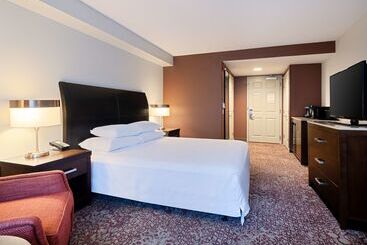 酒店 Hilton Garden Inn Chicago Downtown/magnificent Mile