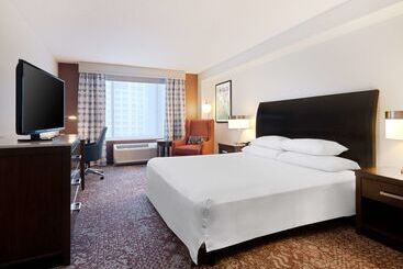 酒店 Hilton Garden Inn Chicago Downtown/magnificent Mile