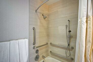 酒店 Hilton Garden Inn Chicago Downtown/magnificent Mile