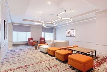 酒店 Hilton Garden Inn Chicago Downtown/magnificent Mile