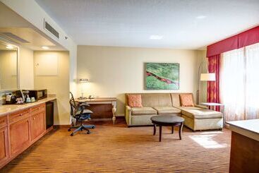 هتل Hilton Garden Inn Tampa Ybor Historic District